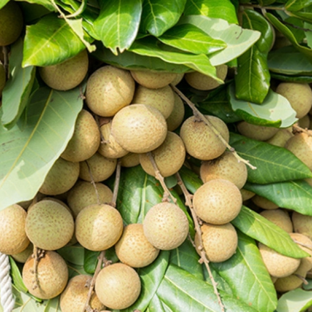 柴燒煙燻大福圓